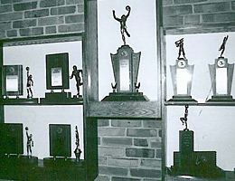 Small Trophy Display Case