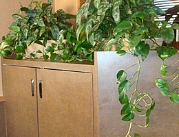 Vacuum cleaner encloser cabinet