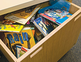 St. Mary's Help of Christians School, St. Augusta, MN